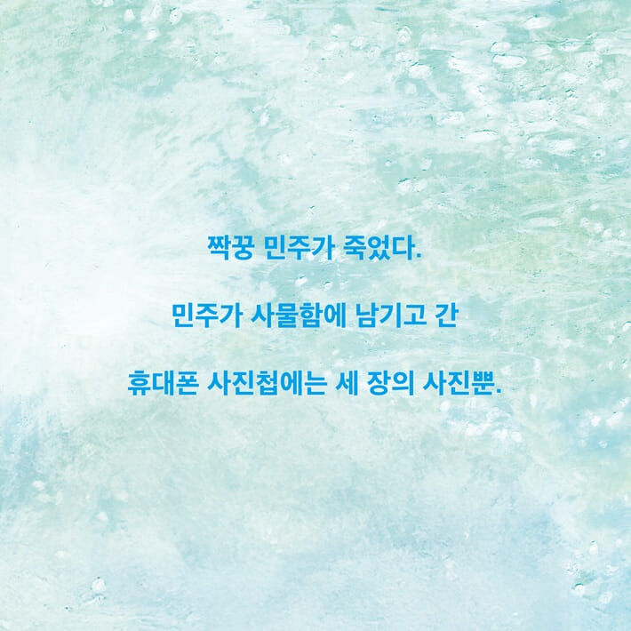 카드뉴스1