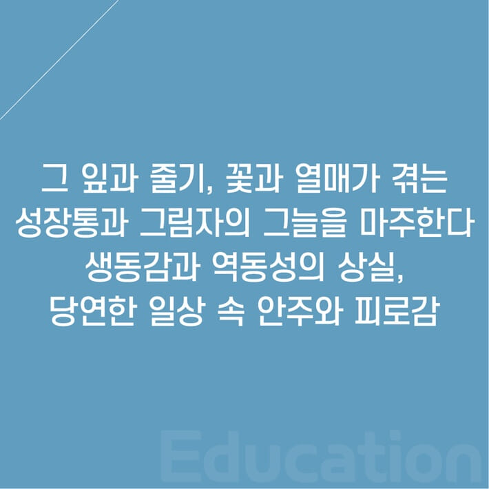 카드뉴스2