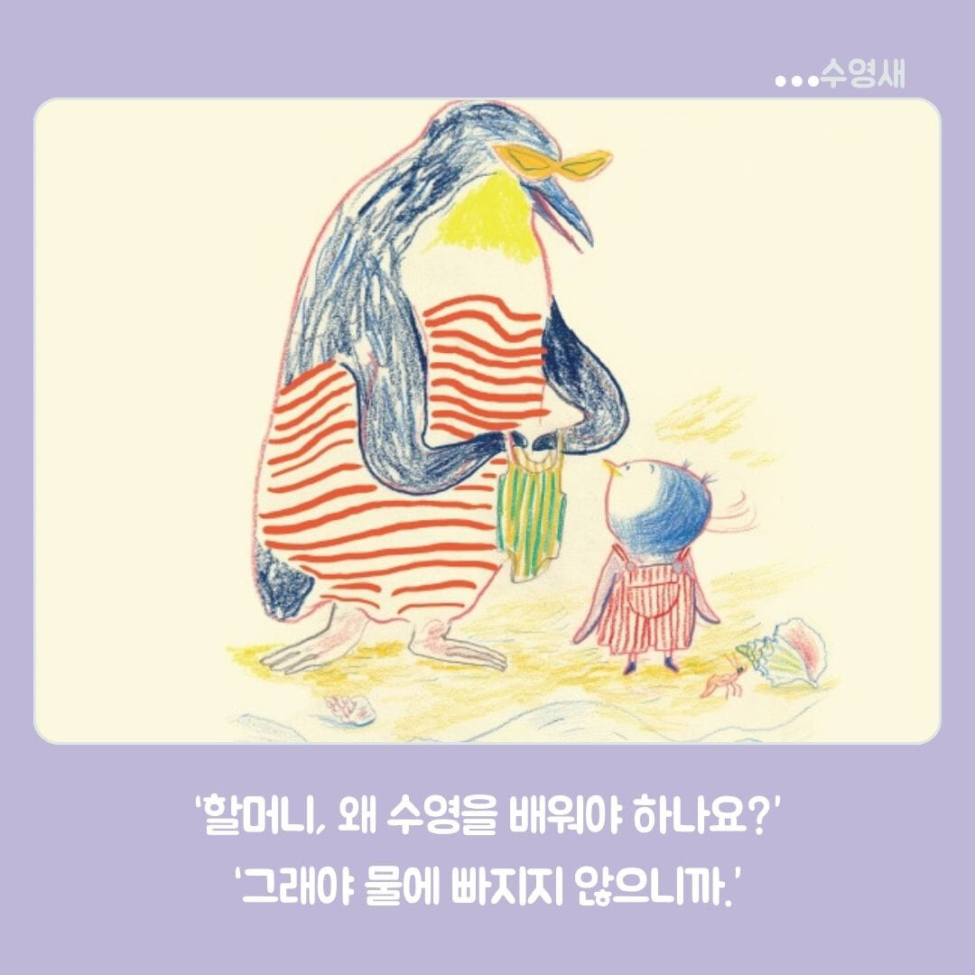 카드뉴스4