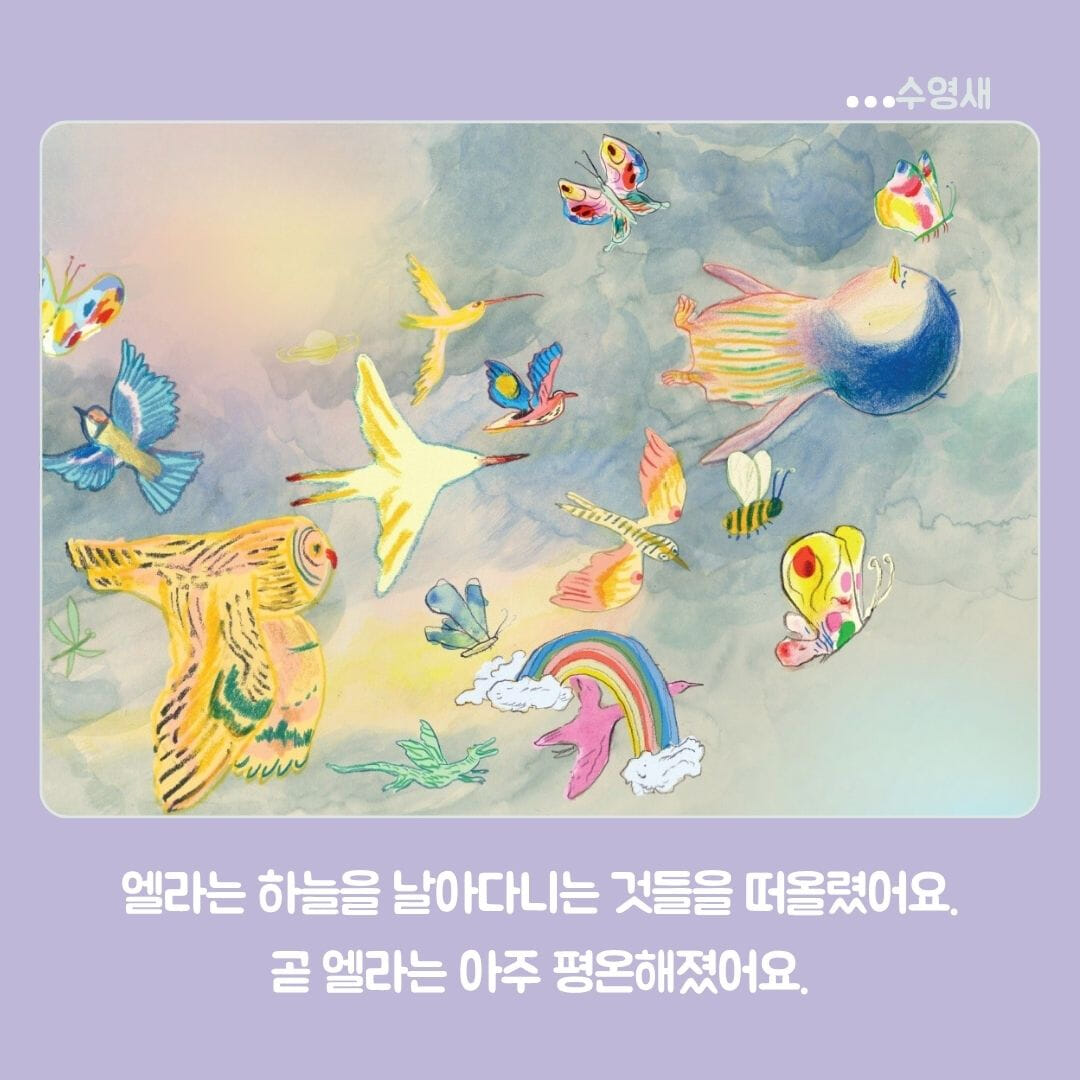 카드뉴스6