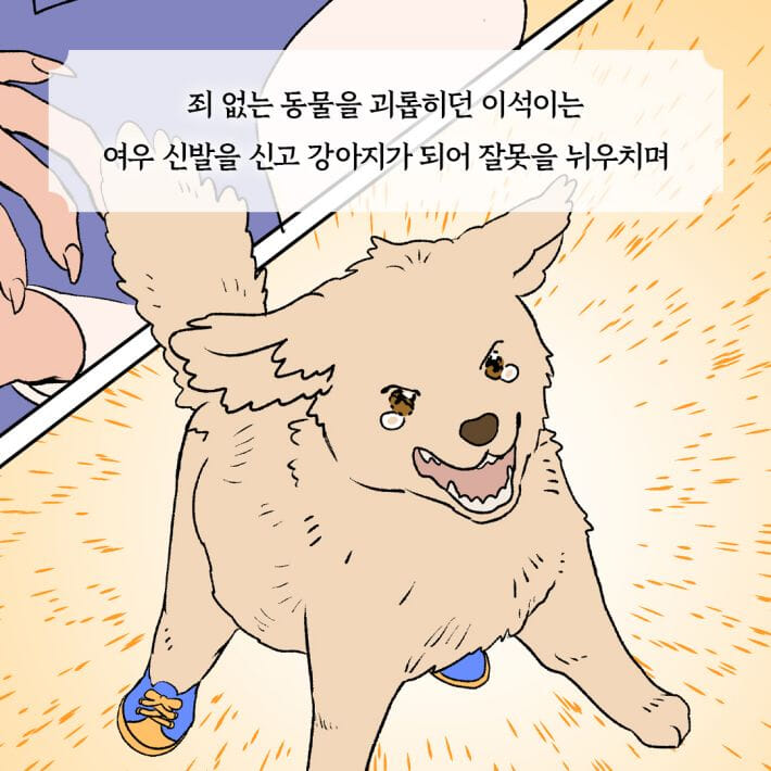 카드뉴스5