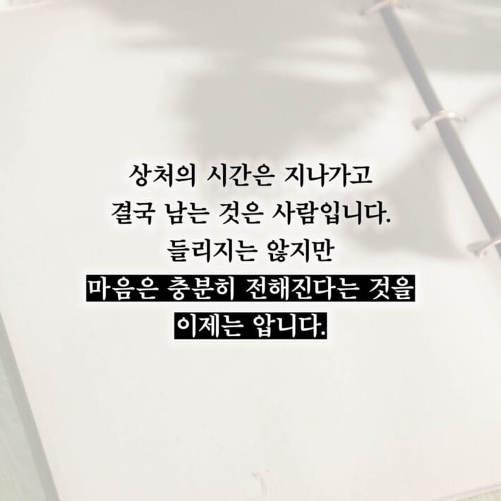 카드뉴스7