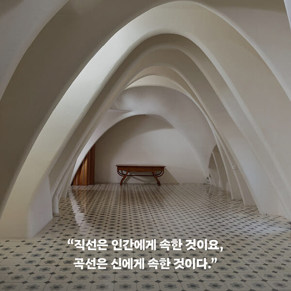 카드뉴스4