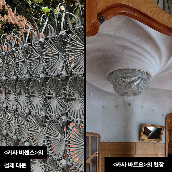카드뉴스6