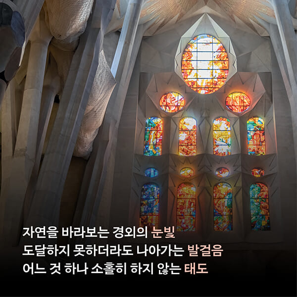 카드뉴스9