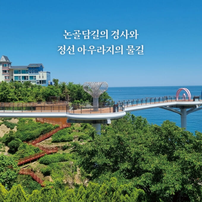 카드뉴스6