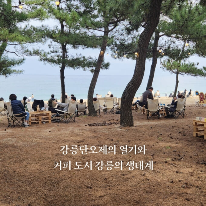 카드뉴스7