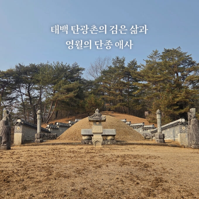 카드뉴스8