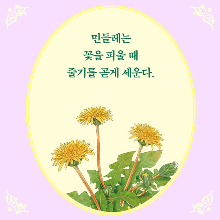카드뉴스1