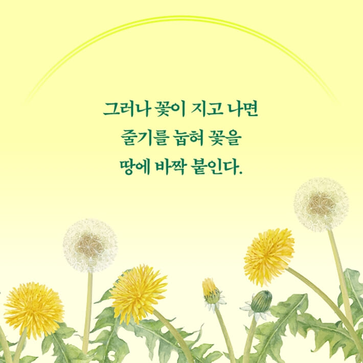 카드뉴스2
