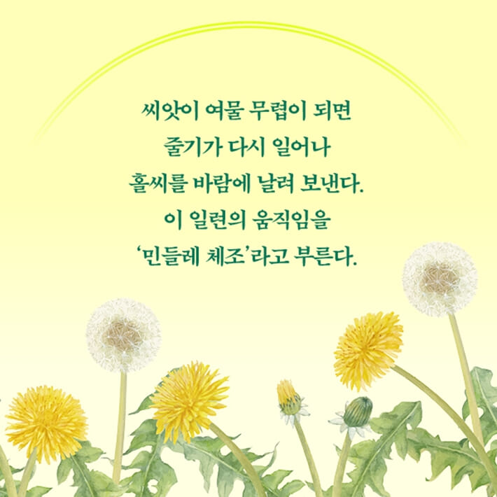 카드뉴스3