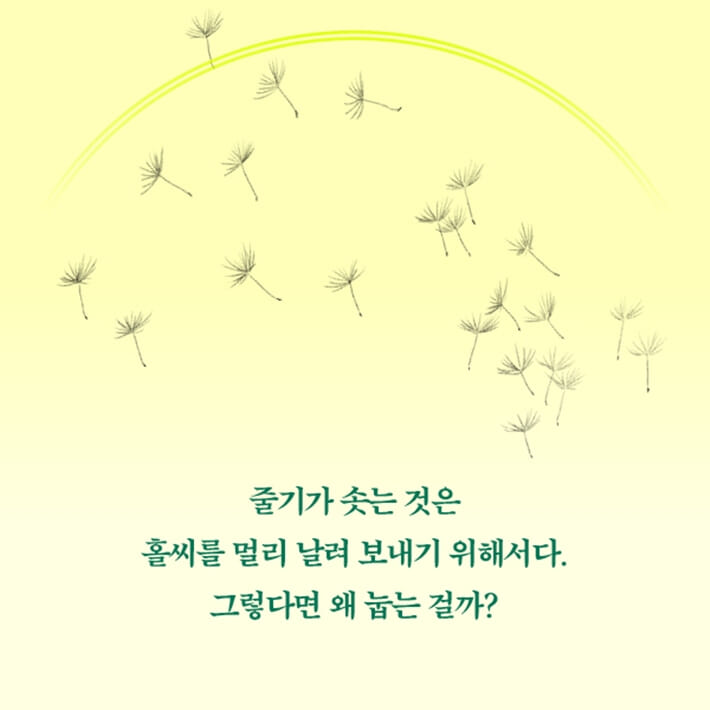 카드뉴스4