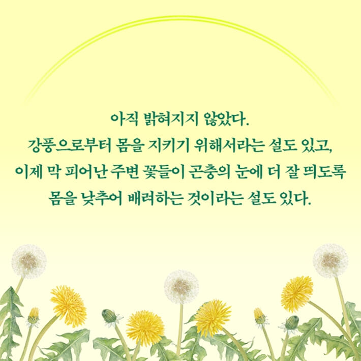 카드뉴스5