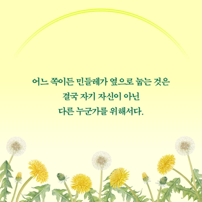 카드뉴스6