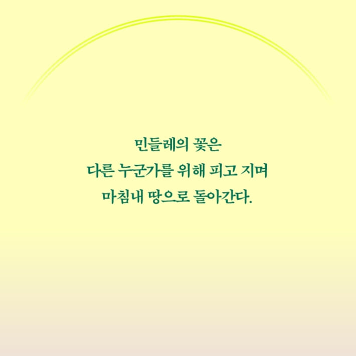 카드뉴스7