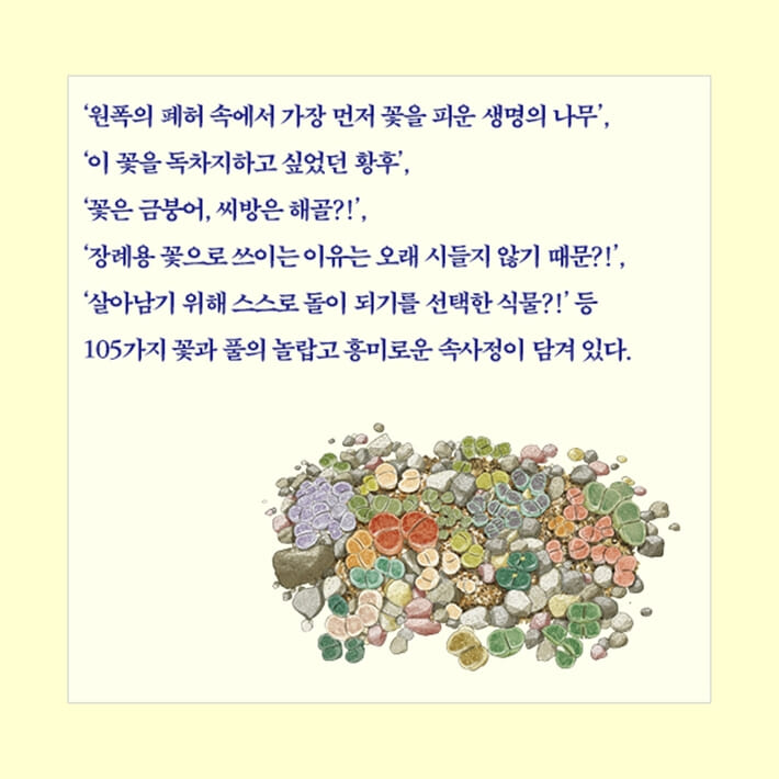 카드뉴스9