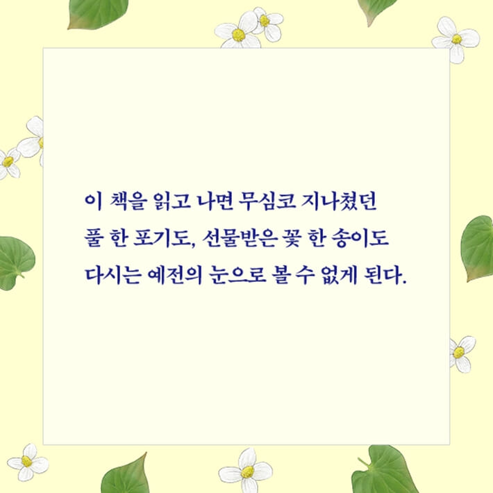카드뉴스11