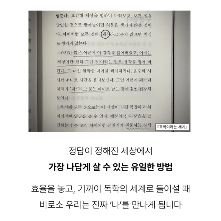 카드뉴스8