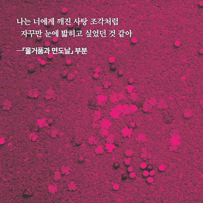 카드뉴스5