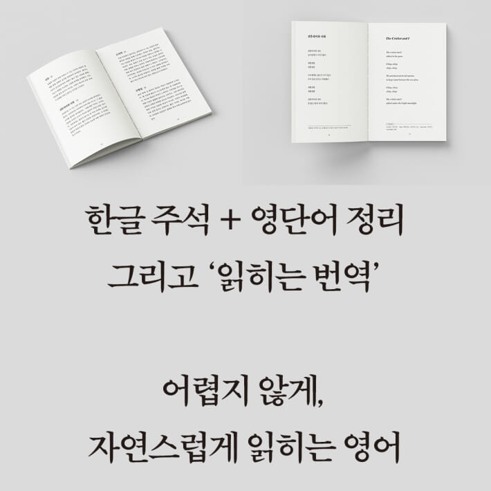 카드뉴스5