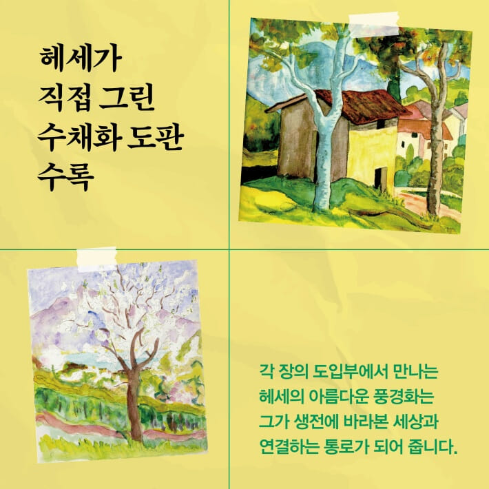 카드뉴스7