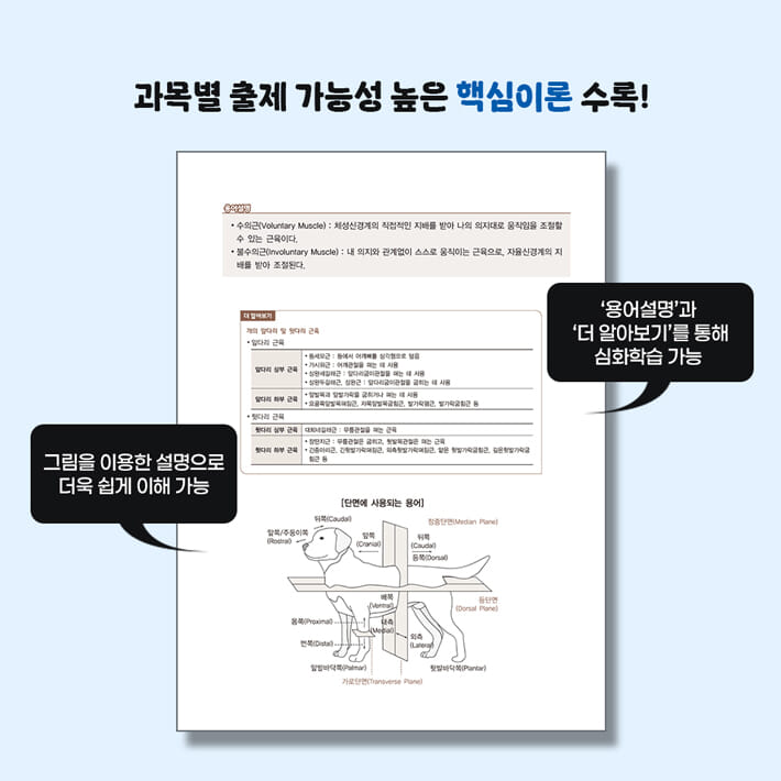 카드뉴스2