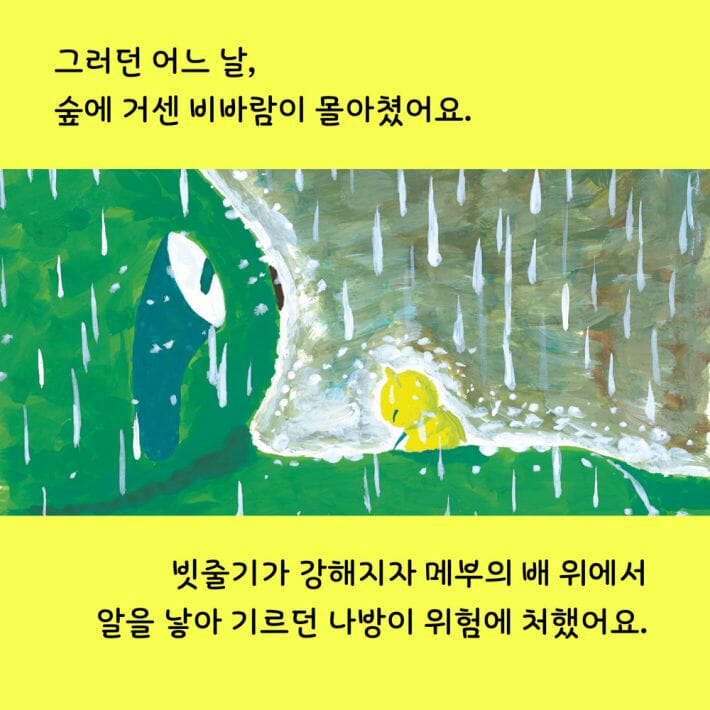 카드뉴스5