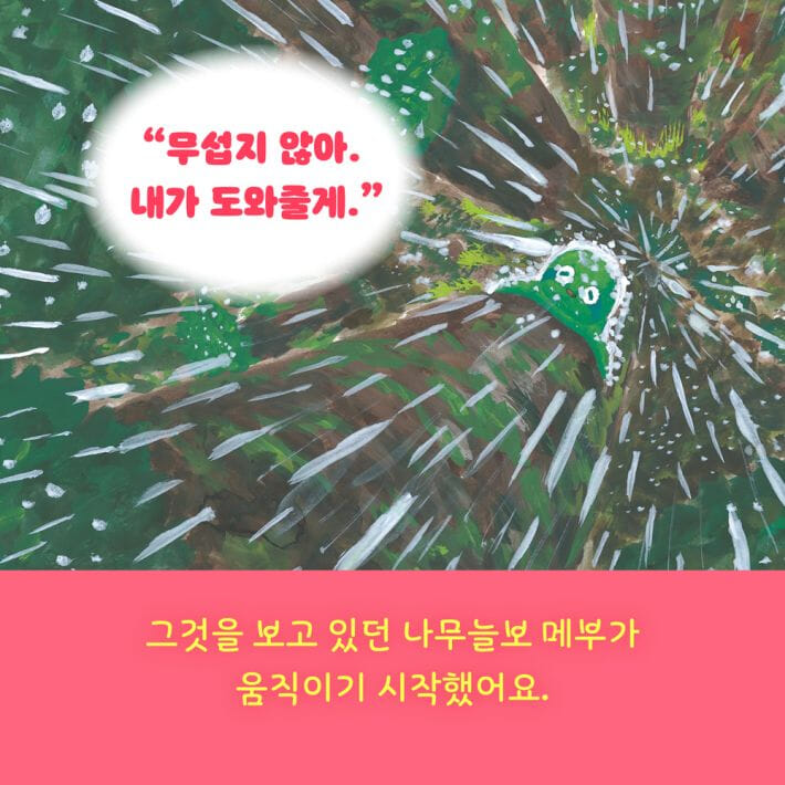 카드뉴스6