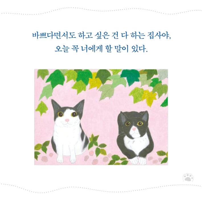 카드뉴스1