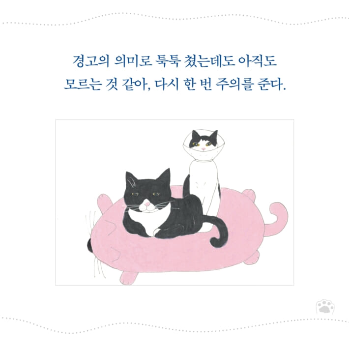 카드뉴스5