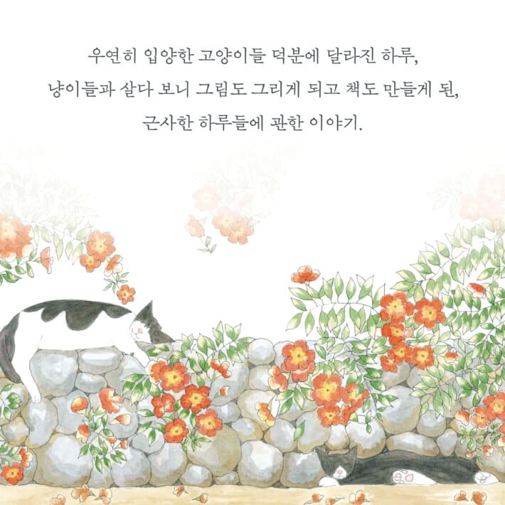 카드뉴스8