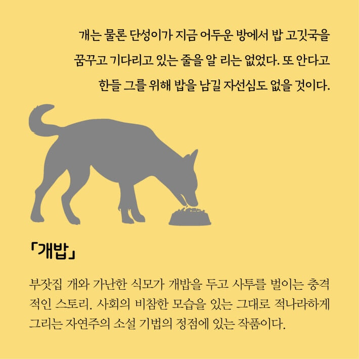카드뉴스3