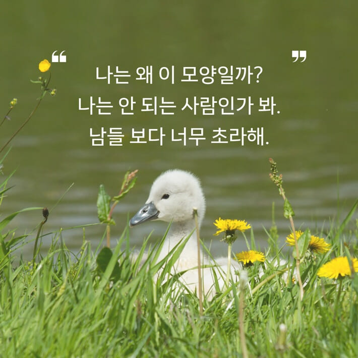 카드뉴스1