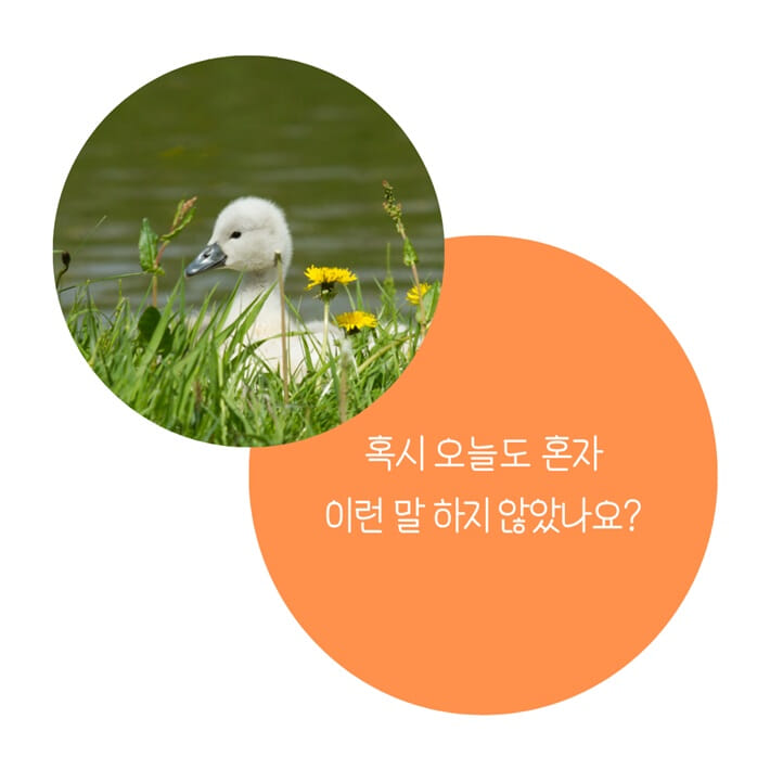 카드뉴스2
