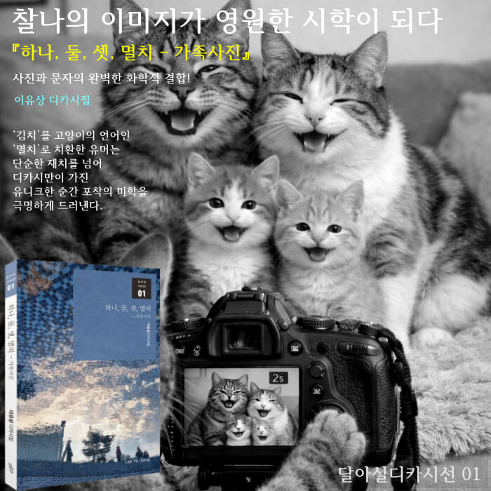 카드뉴스2