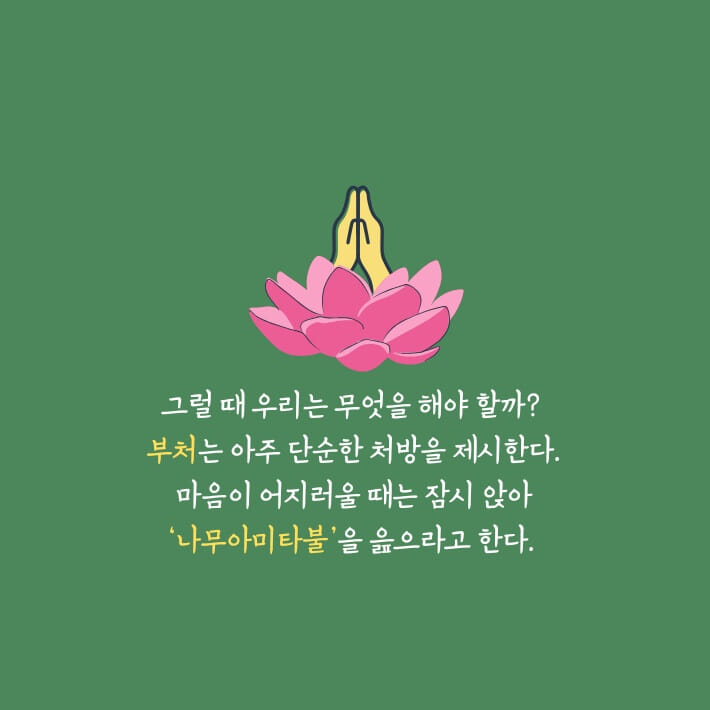 카드뉴스2