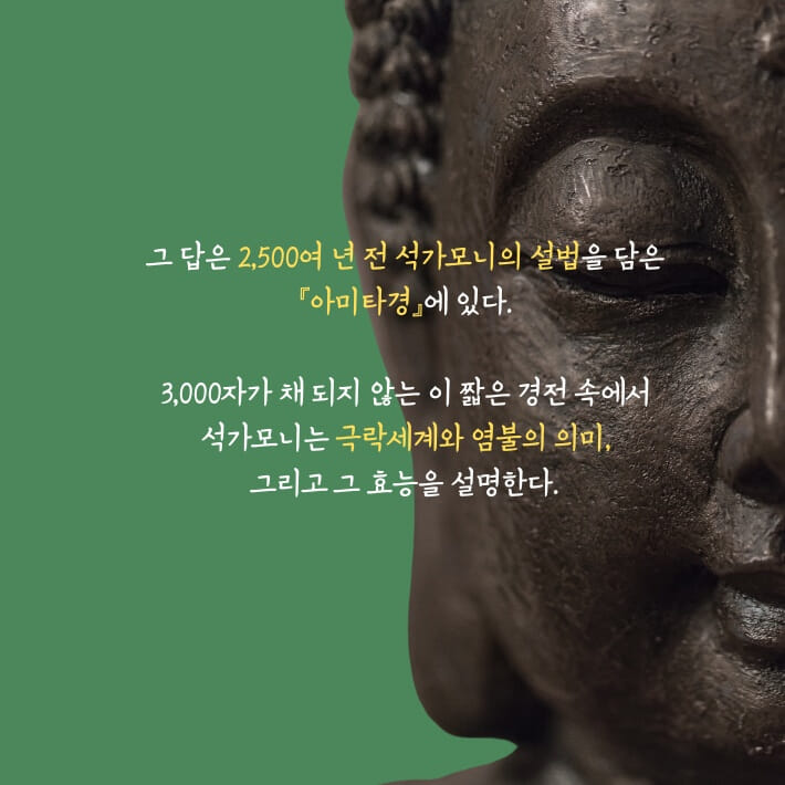 카드뉴스5