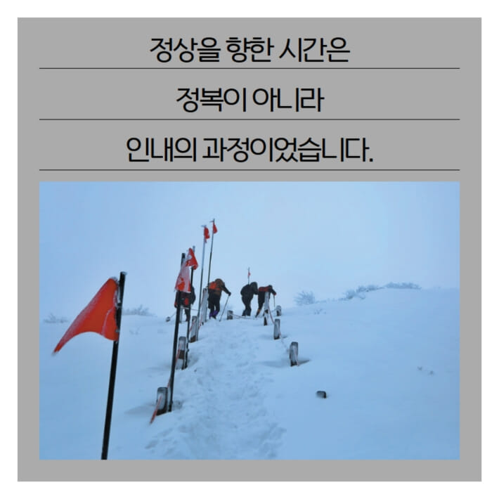 카드뉴스5