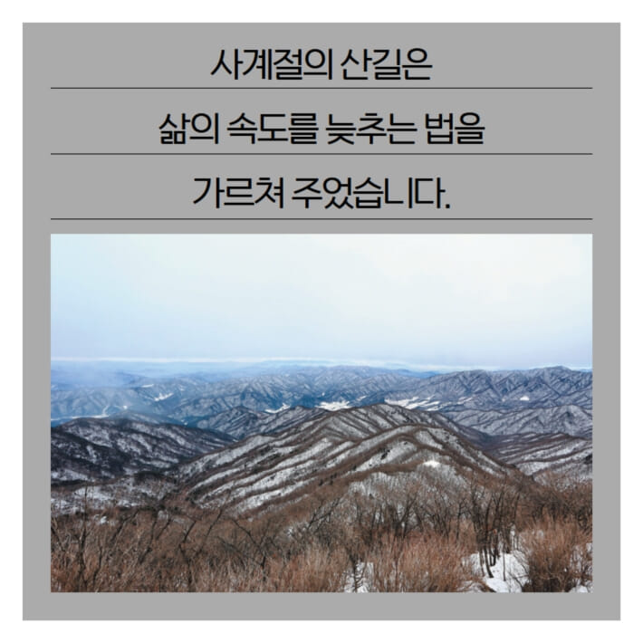 카드뉴스6