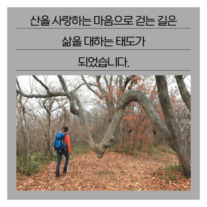 카드뉴스11