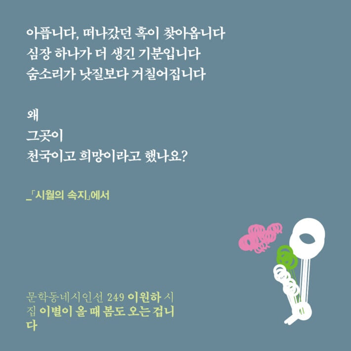 카드뉴스6