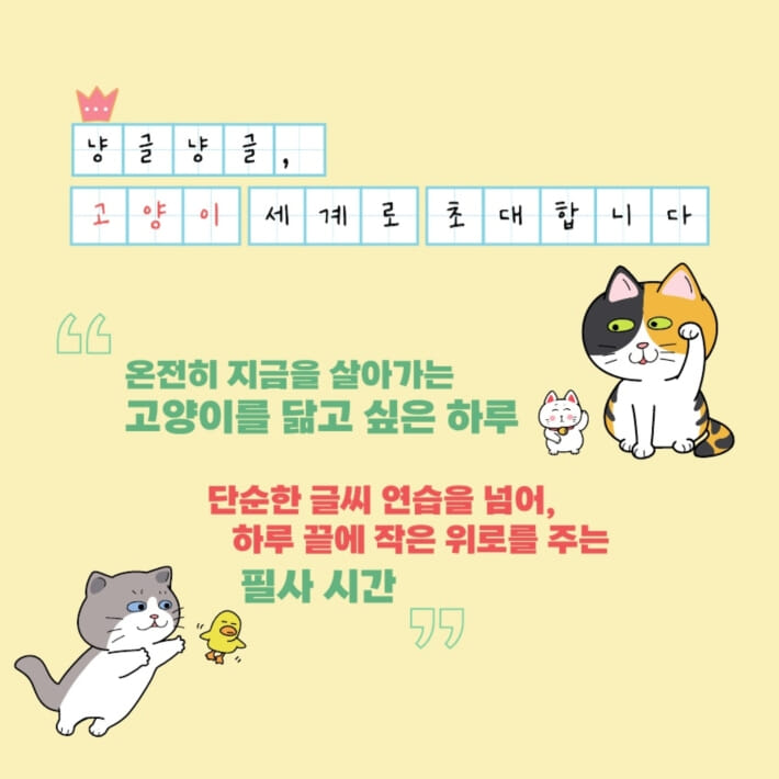 카드뉴스2