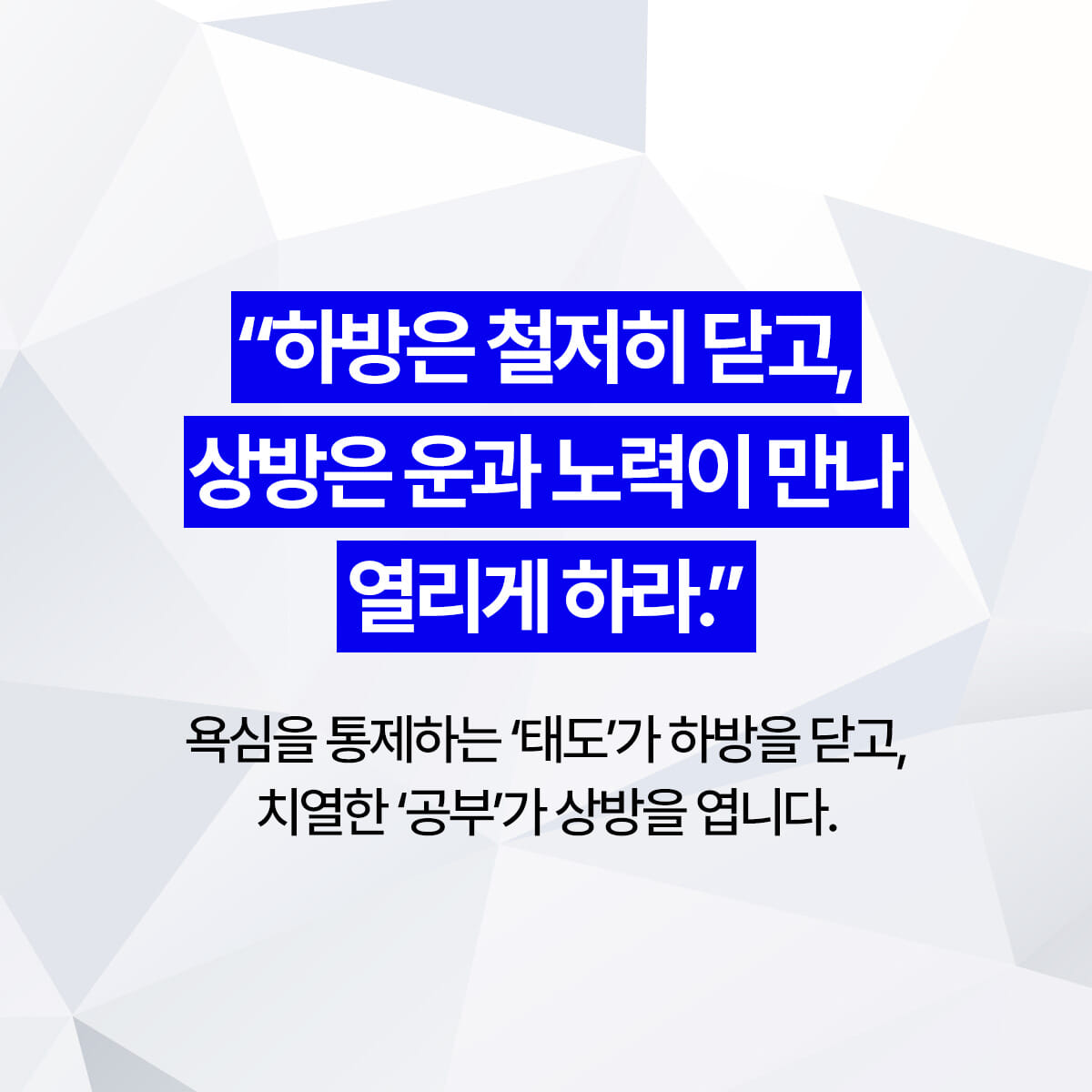 카드뉴스5