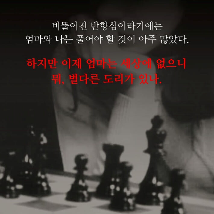 카드뉴스3