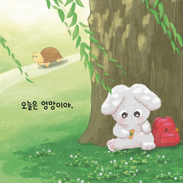 카드뉴스5