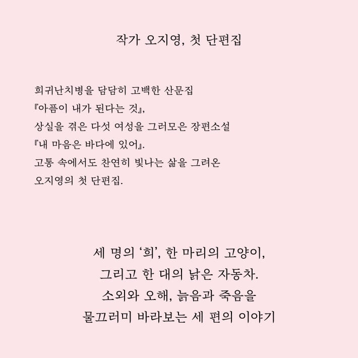 카드뉴스3