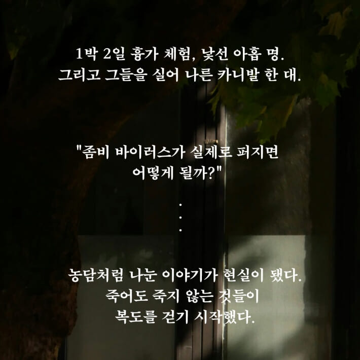 카드뉴스5