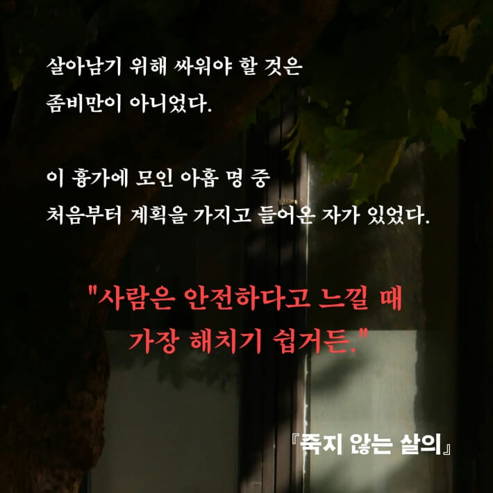 카드뉴스6