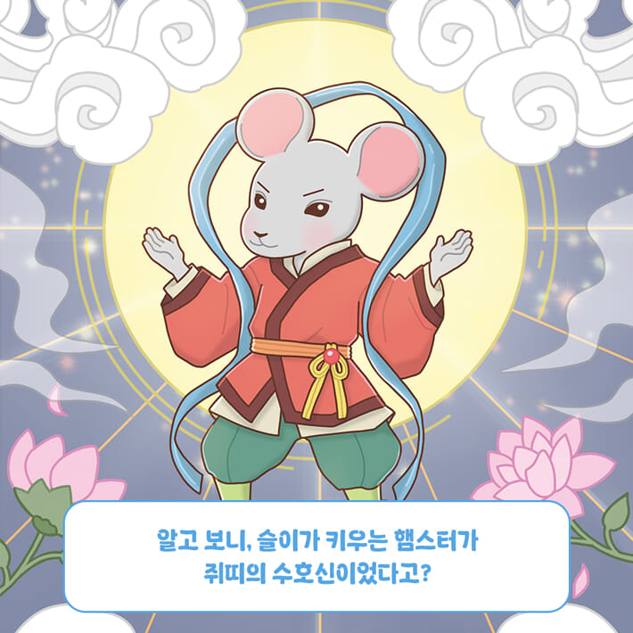 카드뉴스3
