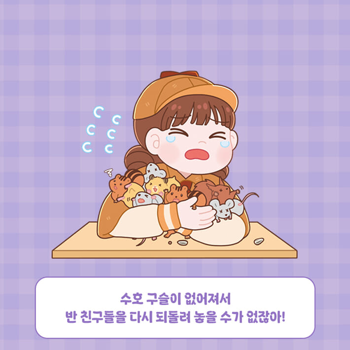 카드뉴스4